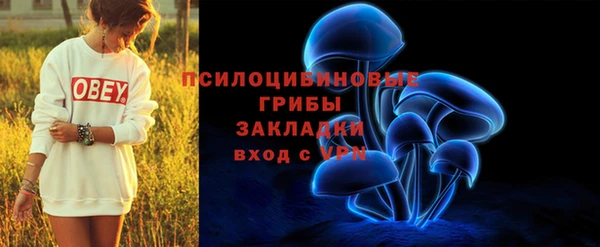 a pvp Аркадак