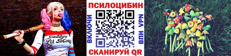 Галлюциногенные грибы GOLDEN TEACHER  KRAKEN ссылка  Рыбное  как найти закладки 